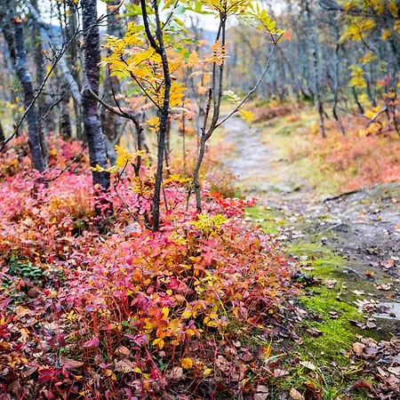 Arctic Retreat - Spacious Next To Amazing Nature * 트롬쇠