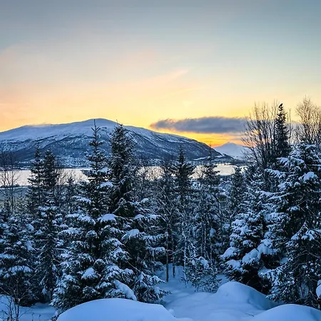 Arctic Retreat - Spacious Next To Amazing Nature 트롬쇠