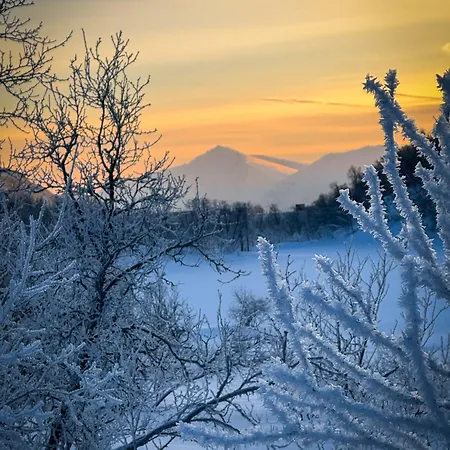 Arctic Retreat - Spacious Next To Amazing Nature * 트롬쇠