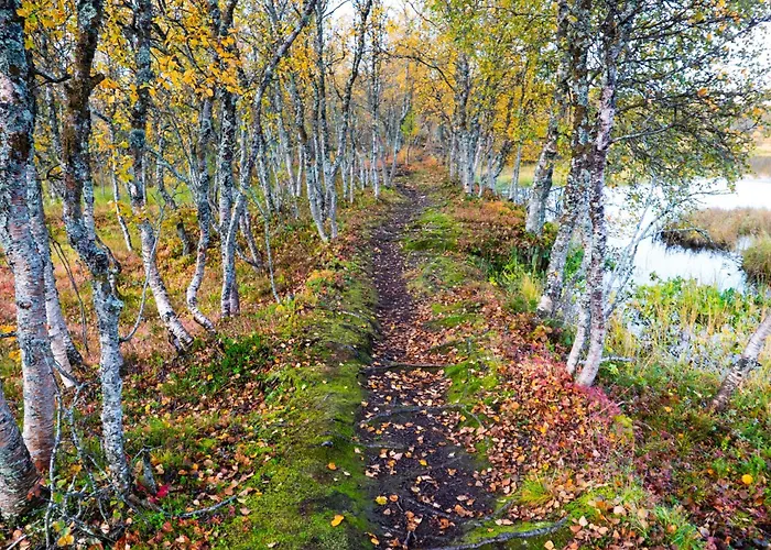 Arctic Retreat - Spacious Next To Amazing Nature Tromsø