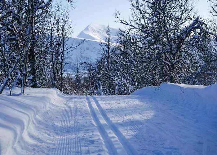 Arctic Retreat - Spacious Next To Amazing Nature *