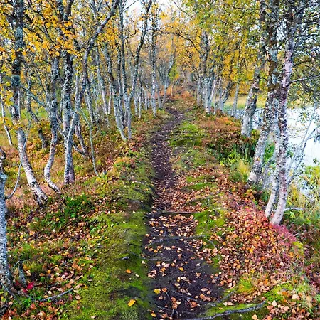 Arctic Retreat - Spacious Next To Amazing Nature Tromsø