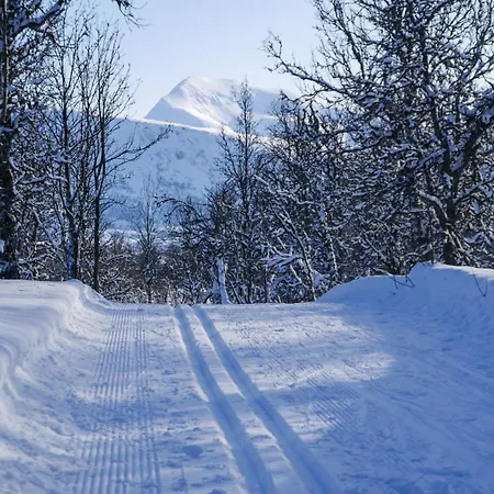 Arctic Retreat - Spacious Next To Amazing Nature *